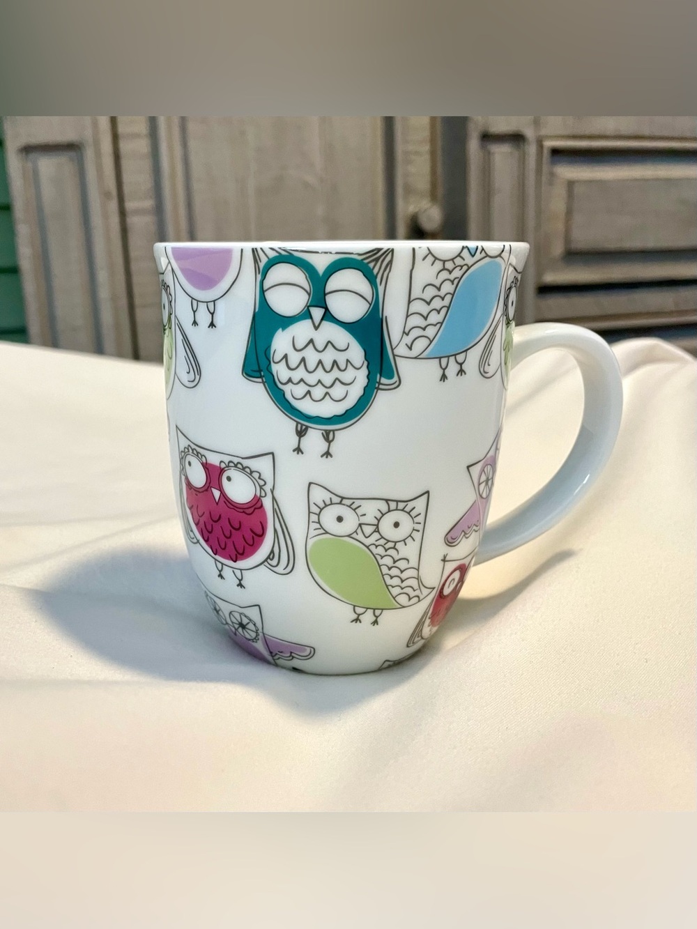 OWLS by Creative Tops LTD - Multicolored Owls & White Ceramic Tea/Coffee Cup/Mug